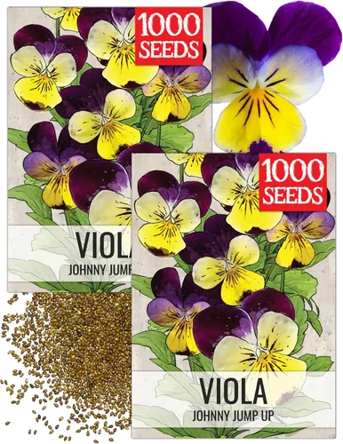 Miniatura 13 de Seed Needs Johnny Jump Up Semillas para plantar violas, reliquia y flores polinizadas abiertas para plantar un jardín de mariposas lleno de flores