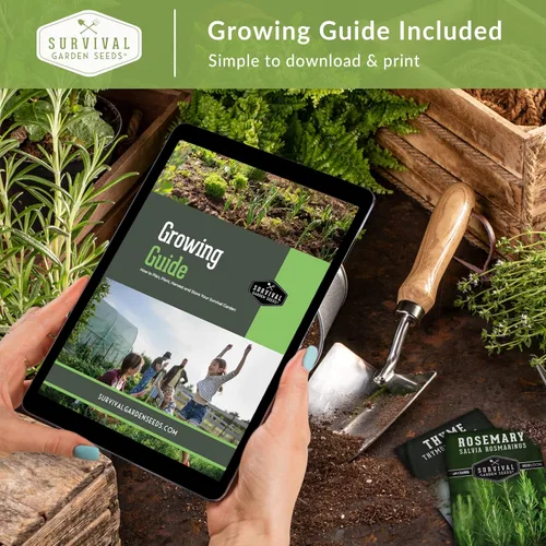 Miniatura 6 de Survival Garden Seeds Colección de semillas de margaritas para plantar, 4 paquetes, escamas africanas, capa, pintadas y margaritas Shasta, semillas