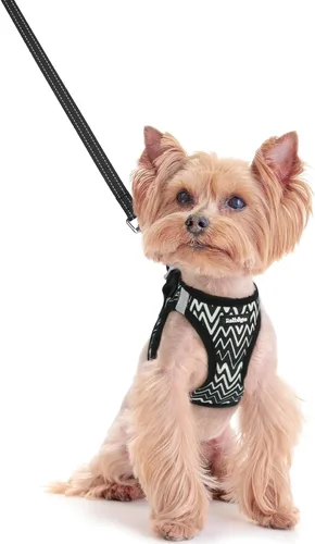 Miniatura 110 de rabbitgoo Juego de arnés para perro de tamaño pequeño y correa, chaleco ligero suave para cachorro, arnés de malla transpirable para mascotas