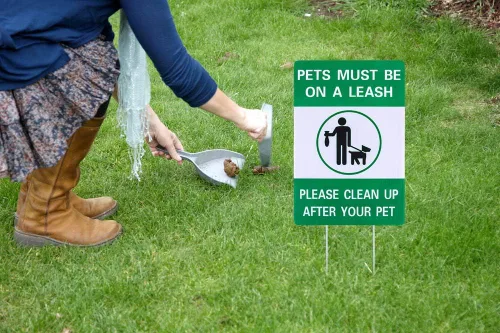 Miniatura 2 de Letrero de "Clean Up After Your Dog" de 8 x 12 pulgadas con estacas de metal, letreros de doble cara para césped de patio, mascotas deben estar