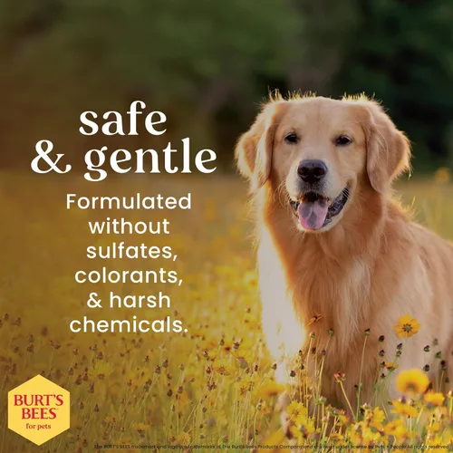 Miniatura 3 de BURT'S BEES FOR PETS Champú desodorizante para perros de origen natural con manzana y romero, champú para perros para olores - Sin crueldad