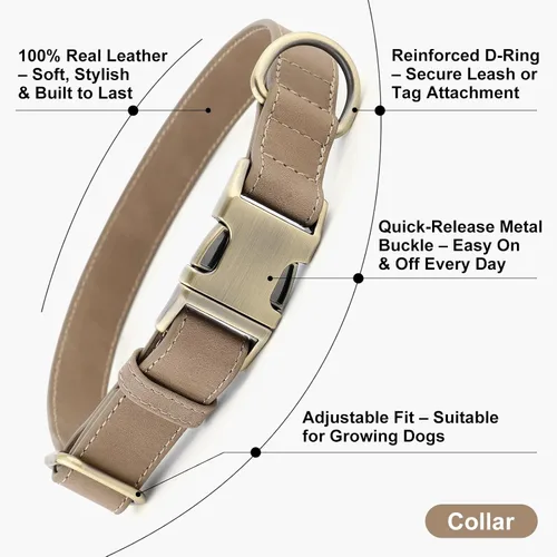 Miniatura 2 de Collar de cuero genuino para perro Plutus Pet – Collar ajustable para mascotas con hebilla de metal de liberación rápida, cuero suave y auténtico