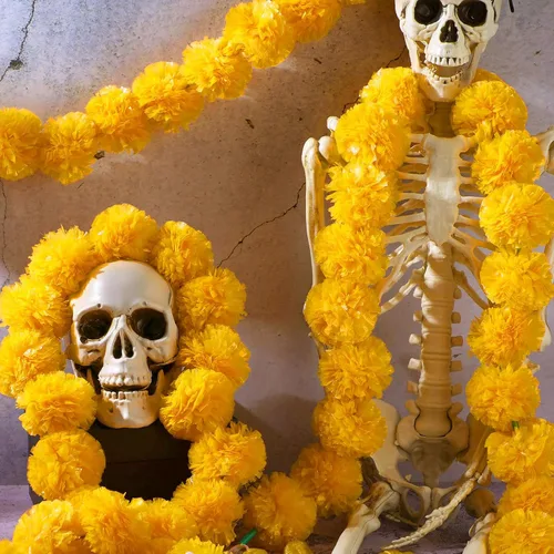 Miniatura 5 de Tigeen 60 guirnaldas de caléndula para decoración de 4 pies, flores artificiales de caléndula para decoración de manto, flores de caléndula india