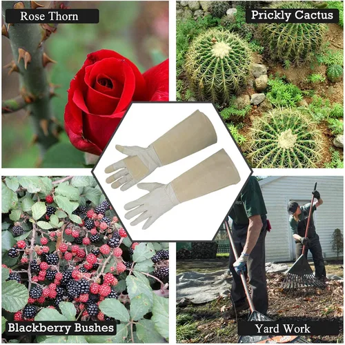 Miniatura 4 de HANDLANDY Paquete - 2 pares: guantes largos de jardinería para poda de rosas, guantes de trabajo de patio resistentes para mujer, color beige