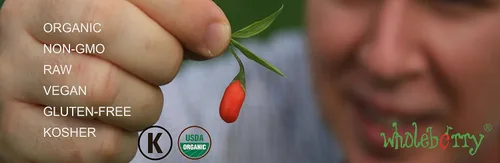 Miniatura 5 de Wholeberry bayas de goji gouqi de lupulo orgánico 32oz Crudas, veganas, sin gluten, superalimento rico en proteína vegetal, fibra dietética