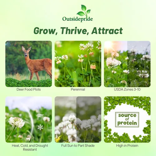 Miniatura 2 de Outsidepride - Semillas Clover King para parcelas de comida de ciervos y vida silvestre, 50 lb