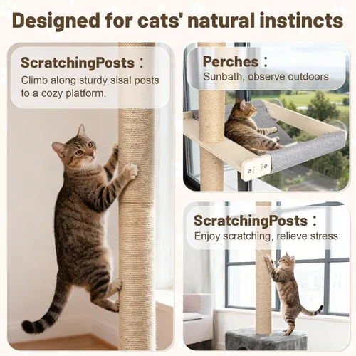 Miniatura 7 de XiaZ Percha para ventana para gatos con poste rascador alto, hamaca de ventana para gatos de 58 pulgadas con condominio para gatos, poste rascador