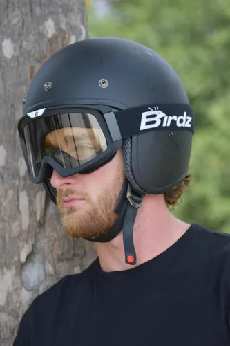Miniatura 8 de Birdz Pelican - Gafas de protección Fitover acolchadas para ATV y motocicleta, con lente transparente