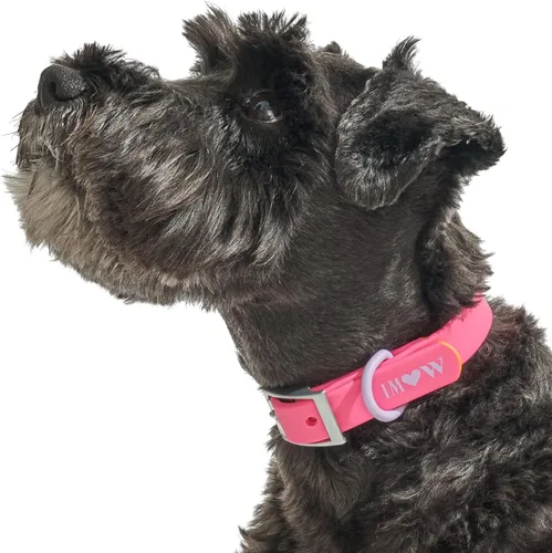Wild One, Edición limitada, Designer Collection, collar rosa para perro, fácil de limpiar, correa de poliéster flexible para todo tipo de clima con