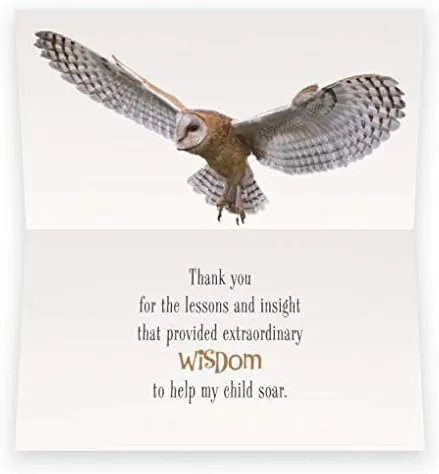 Miniatura 6 de Smiling Wisdom - Tarjeta de agradecimiento para profesor y pulsera de piedra elástica de búho - Mujer