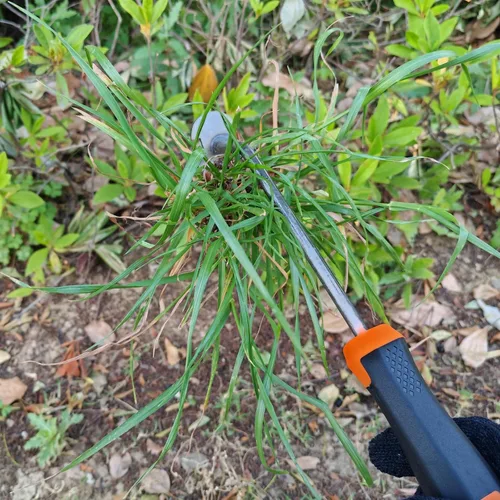 Miniatura 4 de XIAONAN Herramienta de desmalezas, herramienta de extracción de malezas de jardín con mango, herramienta manual de desbrozadora manual de 4 dientes