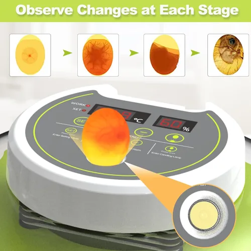 Miniatura 3 de Incubadoras de huevos para incubar pollitos, incubadora de huevos con giro automático de huevos y control de humedad, vela de huevo incorporada