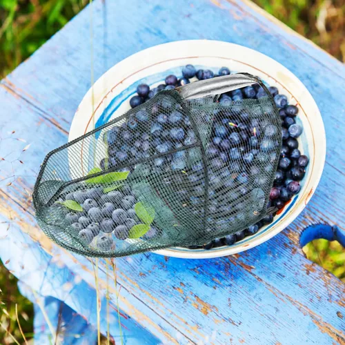 Miniatura 7 de HANABASS Recogedor de bayas de arándanos, rastrillo de arándanos, pala de jardín con peine metálico para recolección de bayas para arándanos