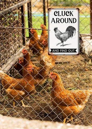 Miniatura 4 de Letrero de metal "Cluck Around and Find Out" para decoración de pared de gallinero en casa, cocina de granja, accesorios para gallinero, decoración