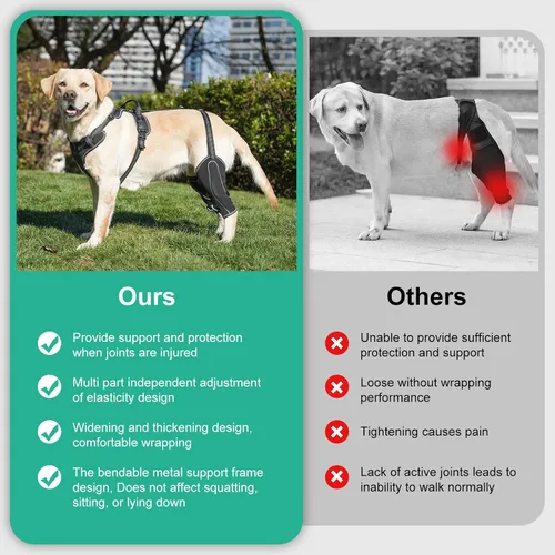 Miniatura 3 de Soporte de cadera para perro para rehabilitación muscular con cuerda de tracción, diseño ajustable de cuatro extremidades para aliviar el dolor