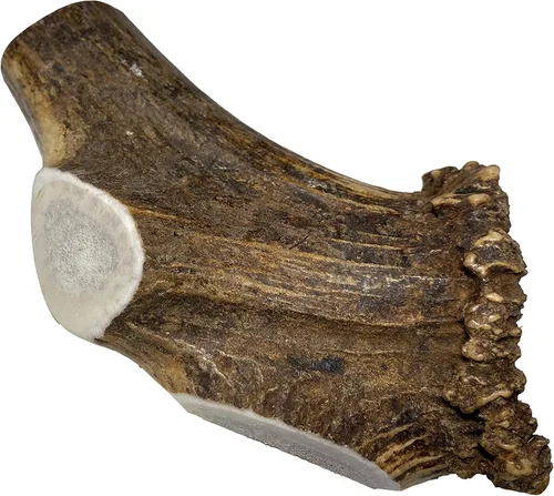Miniatura 7 de Elkhorn Premium Chews - Paquete individual pequeño dividido (para perros y cachorros de 0 a 20 libras) asta de alce de grado premium para perros