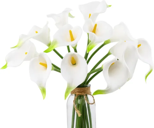 DuHouse 12 flores artificiales de lirio de agua, flores de látex de tacto real para ramo de boda DIY, fiesta, decoración del hogar (blanco-núcleo