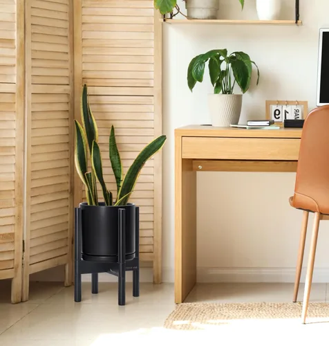 Miniatura 4 de D'vine Dev Maceta de cerámica con soporte de ébano – Maceta redonda moderna de 8 pulgadas con soporte para maceta de madera, color negro, 55-B-M-2