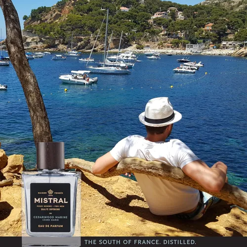 Miniatura 5 de Mistral Colonia para Hombre – Eau de Parfum de Madera de Cedro Marina Aroma Masculino Fresco y Boscoso con Marino, Jazmín y Cedro Perfume