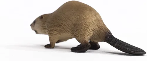 Miniatura 3 de Schleich Wild Life, North American Woodland Juguetes de animales salvajes para niños, figura de juguete de castor, a partir de 3 años