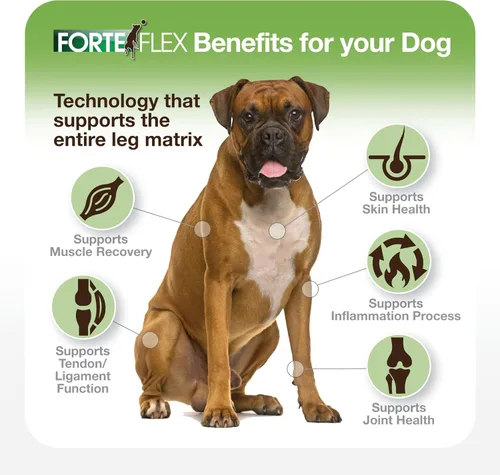 Miniatura 2 de Suplemento para articulaciones y caderas K9 para perros – Displasia de cadera, rigidez articular, antiinflamatorio y apoyo de movilidad