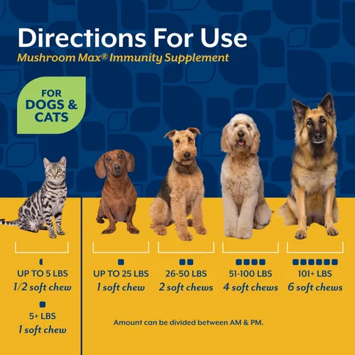 Miniatura 6 de NaturVet Mushroom Max - Suplemento avanzado para perros de apoyo inmunológico – Ayuda a fortalecer la inmunidad, la salud general de los perros