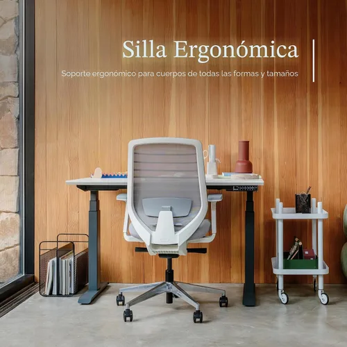 Miniatura 5 de Silla ergonómica Branch - Una silla de escritorio versátil con soporte lumbar ajustable, respaldo de malla transpirable y ruedas suaves - Grafito