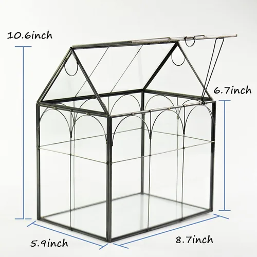 Miniatura 6 de Vidrio de terrario para invernadero de plantas grandes y altas con tapa, 8.7 x 5.9 x 10.6 pulgadas, kit de terrario de cactus suculentos