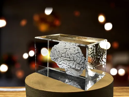 Miniatura 9 de Regalo para médicos 3D grabado en cristal recuerdo/regalo/decoración/(pequeño (3 x 2 x 2 pulgadas), arterias)