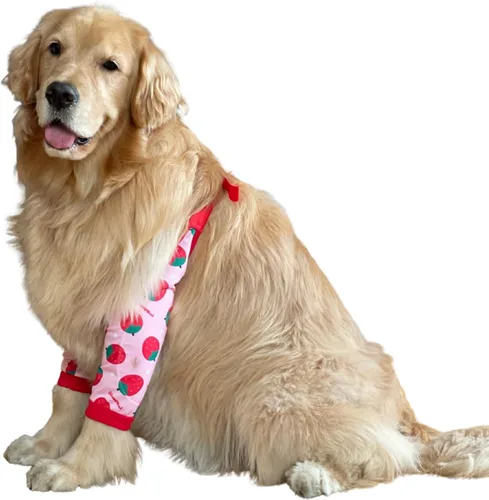 Miniatura 22 de Protector de codo para perro, coderas con almohadilla de malla para perros medianos y grandes para evitar lamer heridas (automóvil, 4XL)