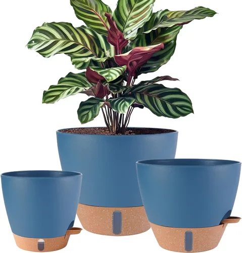 Miniatura 13 de Paquete de 2 macetas de 8 pulgadas para plantas de interior, macetas de plástico con orificios de drenaje, indicador de nivel de agua y depósito
