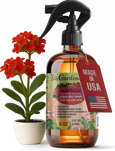 Miniatura 33 de GARDENERA Spray orgánico profesional de algas marinas para plantas AGLAONEMA – 8 oz – Rocío fertilizante de algas marinas y algas marinas totalmente