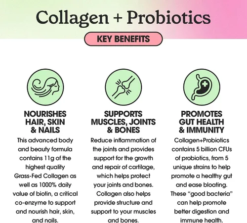 Miniatura 5 de Fit & Lean Colágeno + probióticos - Polvo de péptido de colágeno alimentado con pasto, sin sabor, 12.64 onzas