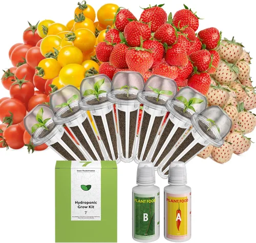 Miniatura 8 de inbloom Kit de vainas de semillas verdes para ensalada orgánica para AeroGarden, sistema de cultivo hidropónico Ahopegarden, alimento bajo