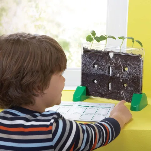 Miniatura 2 de Ventana Educational Insights, Sprout & Grow Window