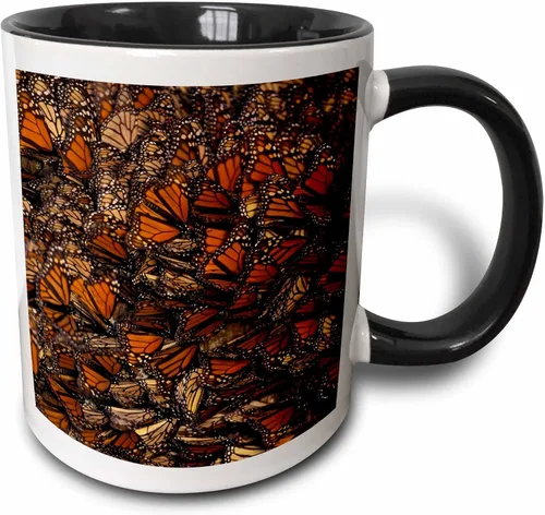 3dRose Taza de café, tamaño - 15oz - México. Mariposa monarca (Danaus plexippus) - SA13 GJE0047 - Gavriel Jecan Butterflies - divertido regalo de