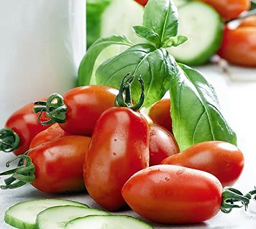 Miniatura 6 de Más de 30 semillas de tomate italianas en pasta San Marzano, sin OMG, indeterminadas, polinizadas abiertas, productivas, deliciosas, de Estados