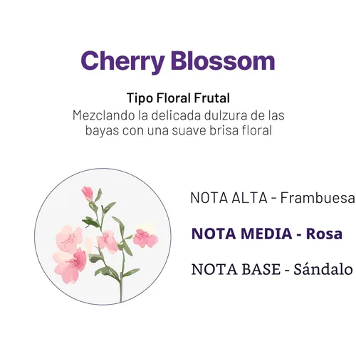 Miniatura 6 de KUNDAL Juego de champú y acondicionador coreano [flor de cerezo] calidad de salón, aroma de larga duración, hidratante, sin sulfatos, aceite