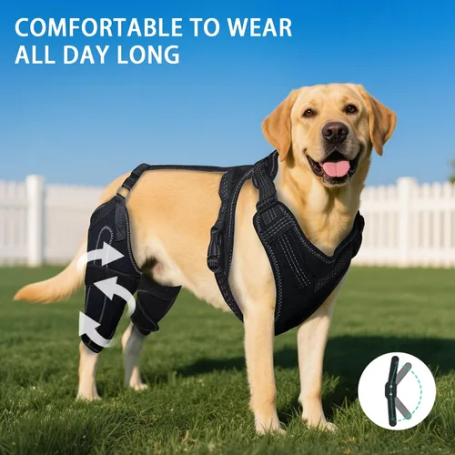 Miniatura 7 de Rodillera para perro para pierna trasera desgarrada del ACL, soporte para piernas traseras de perros, articulaciones cálidas y alivia el dolor