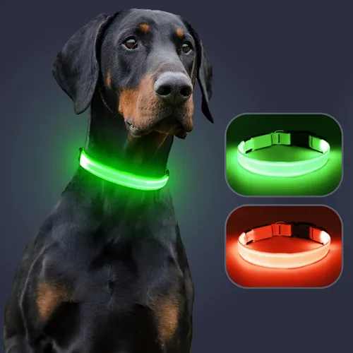Miniatura 9 de Collar de perro KOSKILL LED - Ajustable, recargable, impermeable, brilla en la oscuridad para perros medianos y grandes Verde