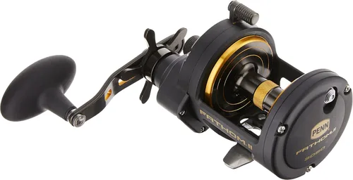 Miniatura 2 de Penn Fathom II Star Drag - Carrete de pesca convencional, oro negro, 25N