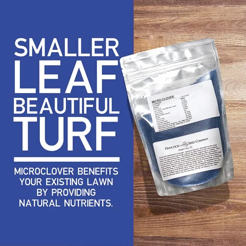 Miniatura 2 de Hancock Seed Co, Micro Clover Seed, bolsa de 20 libras