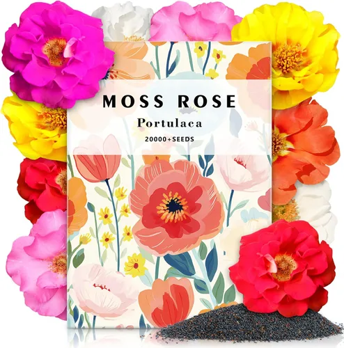 Miniatura 14 de LUOJIBIE Semillas de Zinnia para 2026, más de 6,000 semillas de zinnia gigante de California a granel, semillas de zinnia de doble dalia
