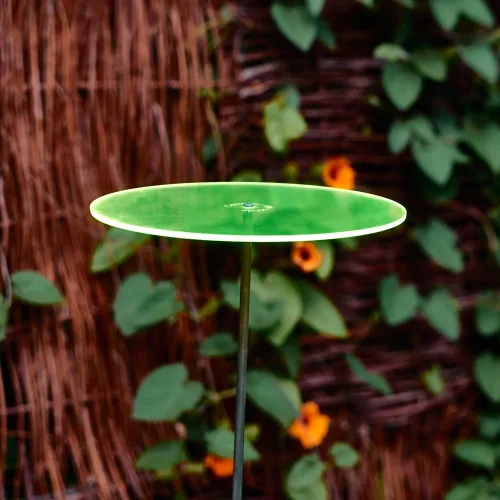 Miniatura 3 de Cazador-del-sol - Juego de 3 atrapasoles de 8" - Uno - Verde