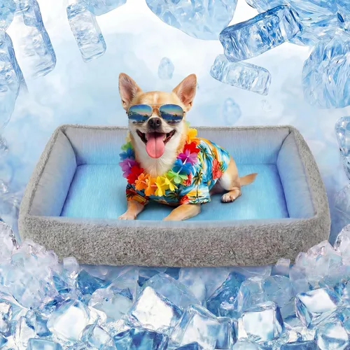 Miniatura 13 de Cama para perros pequeños y medianos, lavable y autocalentable, para gatos de interior, cama mullida de piel de conejo para mascotas para cachorros