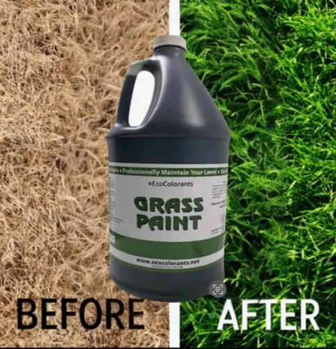 Miniatura 2 de Pintura concentrada de césped verde, 128 onzas (galón), pintura para césped para césped seco, parchado o inactivo que cubre hasta 4,000 pies
