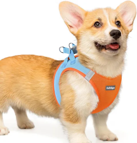 Miniatura 18 de rabbitgoo Arnés para perro pequeño, chaleco de malla suave para cachorros con hebilla de seguridad, arnés reflectante transpirable para mascotas