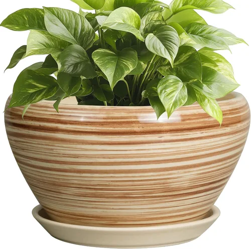 Miniatura 92 de Maceta de Cerámica Moderna con Esmalte para Suculentas con Agujero de Drenaje y Platillo, Maceta Redonda de 6 Pulgadas para Plantas de Flores