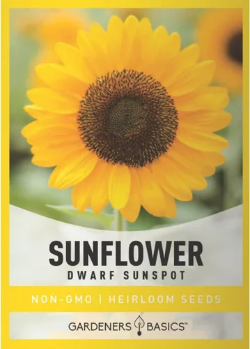 Gardeners Basics, Semillas de girasol enano para plantar flores – Mancha solar amarilla) es una variedad de flores solares de polinización abierta,