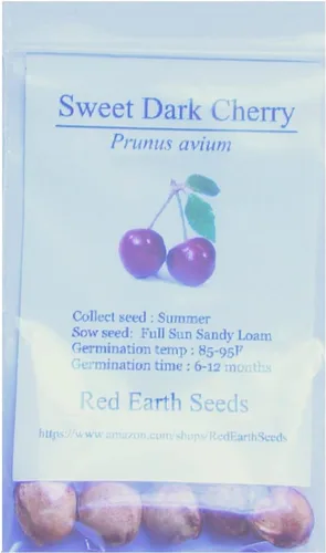 Miniatura 2 de 5 semillas de cereza Sweet Dark Bing - Prunus avium (cultivadas orgánicamente)